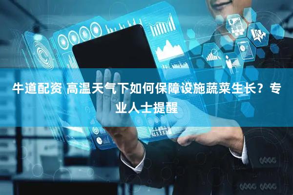 牛道配资 高温天气下如何保障设施蔬菜生长？专业人士提醒