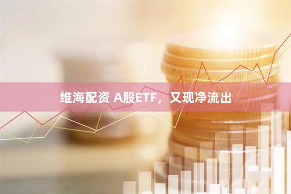 维海配资 A股ETF，又现净流出