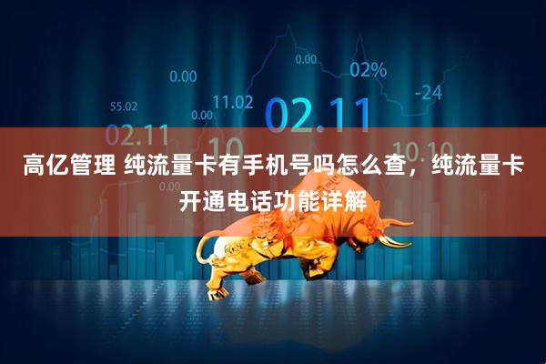 高亿管理 纯流量卡有手机号吗怎么查，纯流量卡开通电话功能详解