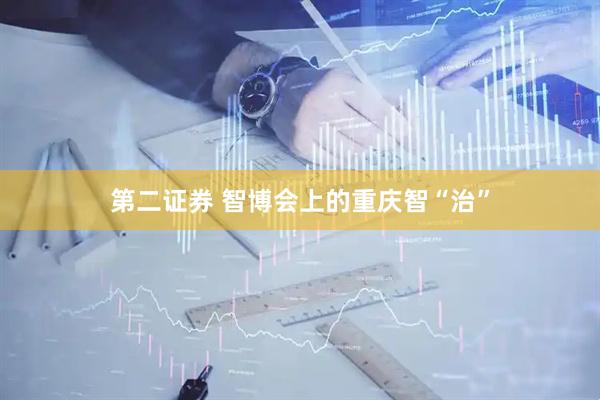 第二证券 智博会上的重庆智“治”