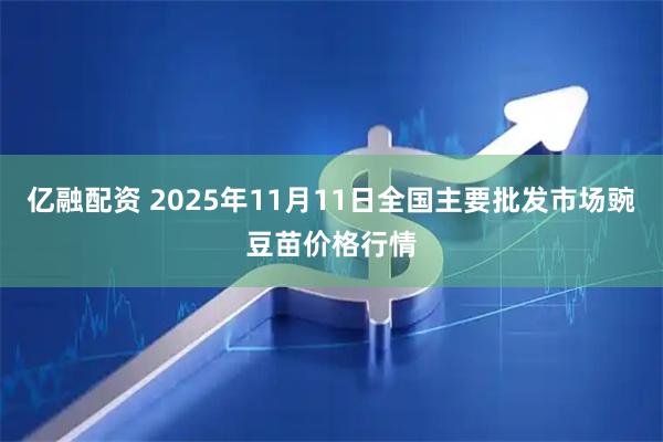 亿融配资 2025年11月11日全国主要批发市场豌豆苗价格行情