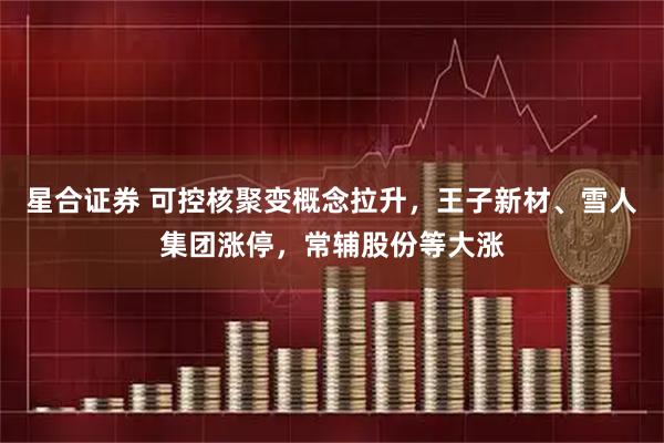 星合证券 可控核聚变概念拉升，王子新材、雪人集团涨停，常辅股份等大涨