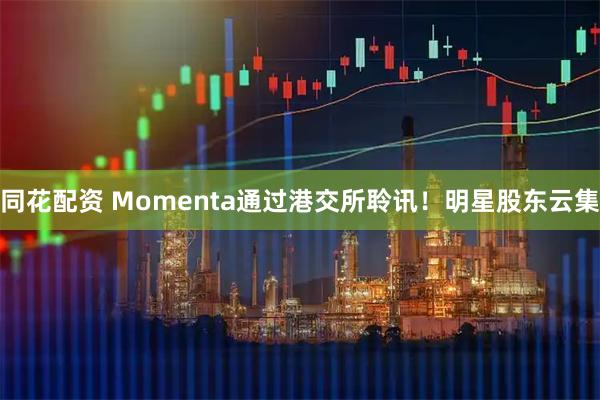 同花配资 Momenta通过港交所聆讯！明星股东云集