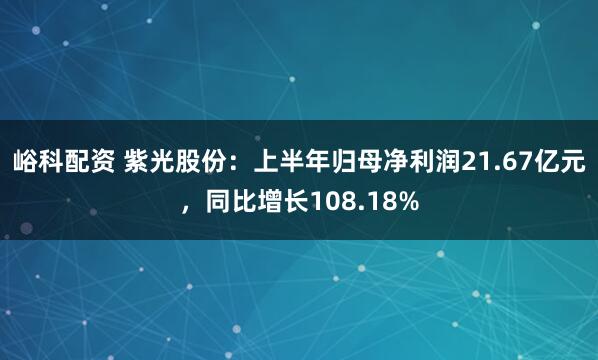 峪科配资 紫光股份：上半年归母净利润21.67亿元，同比增长108.18%